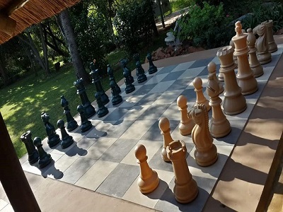 Big Chess Skills chess